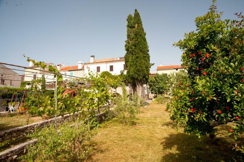 Pape Punat Apartmani I Sobe Extérieur photo